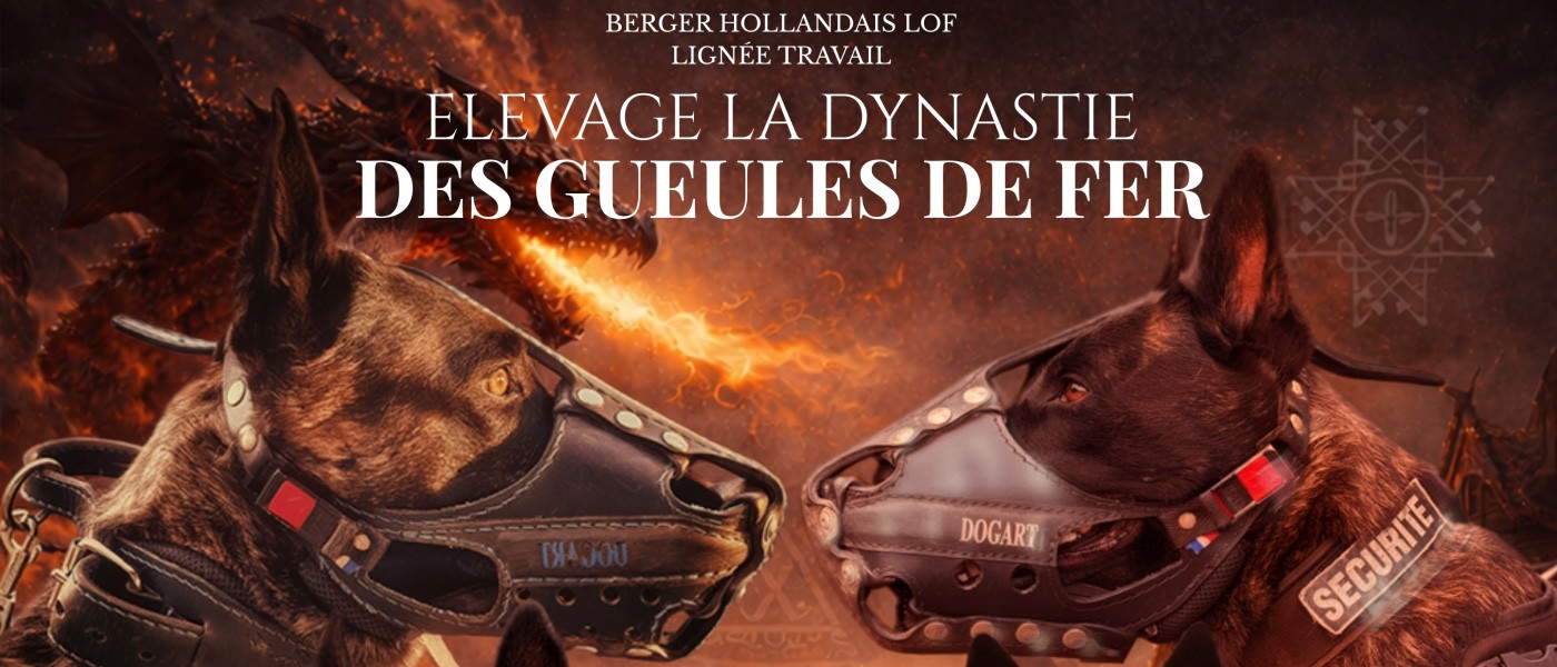 💥 PRÉVISION MARIAGE 2026 💥